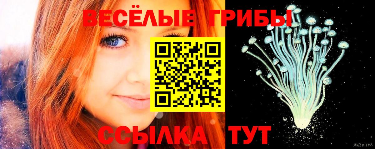 Скопин  купить наркотик  Вход с VPN  Галлюциногенные грибы мухоморы  Псилоцибиновые грибы ЛСД 
